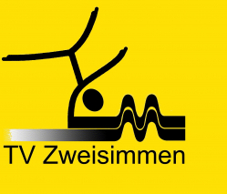 TVLogoTRANSPARENT_gelb_2.jpg